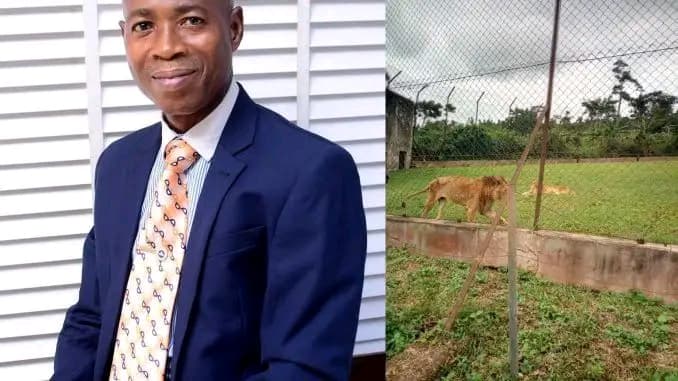 JARUMTA: Jami’ar OAU ta karrama ma’aikacin ta da zaki ya kashe …