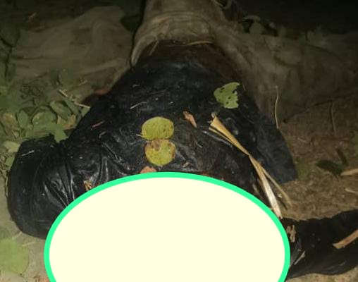 JIGAWA: Yan sanda sun gano gawar almajiri an cire masa kai da …