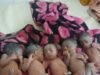 Quintuplets Born in Kano as Government Intervene