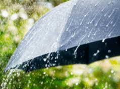 RAINFALL: Key Health Effects of First Rain