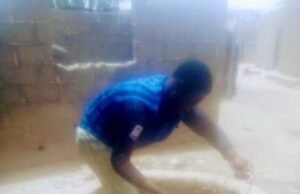 Community Celebrate 15 Years Of Dried Tap…