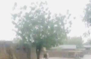 KAUGAMA LOCAL GOVT RECORDS FIRST RAINFALL