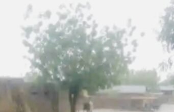 KAUGAMA LOCAL GOVT RECORDS FIRST RAINFALL