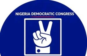 NDC Ta Bukaci Gwamnatin Kano Ta Kawo Karshen Daba