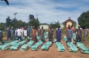 Farmers Receives Free Fertiliser Distributed By Government In Kwara.