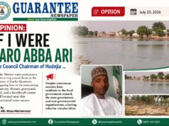 Opinion: If I Were Yaro Abba Ari the Council Chairman of Hadejia…