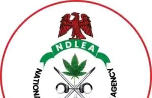 NDLEA Ta Kama Mutum 166 Da Kwato Tan 5.7 Na Kwayoyi A Jihar Edo